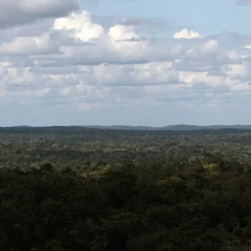 GU6001. PETÉN (GUATEMALA), 04/06/2016.- Vista de la selva de Petén (Guatemala) el 3 de junio de 2016. El Gobierno de Guatemala declaró hoy el estado de calamidad en el departamento norteño de Petén, la cuna de la antigua civilización maya y uno de los últ