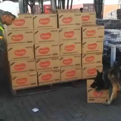 Cocaína en Colombia ,