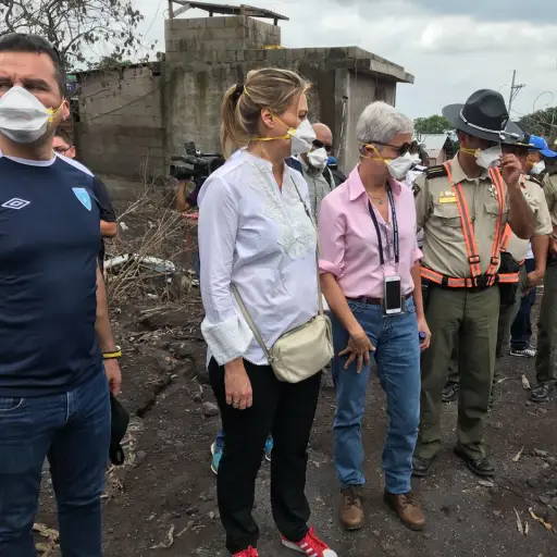 293ba666-34df-4a81-9e02-0d19c07c7d73 ,