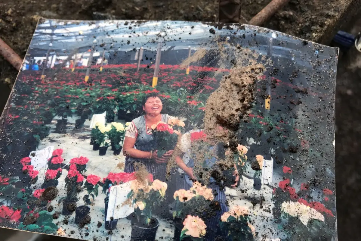 Fotografías San Miguel Los Lotes, 