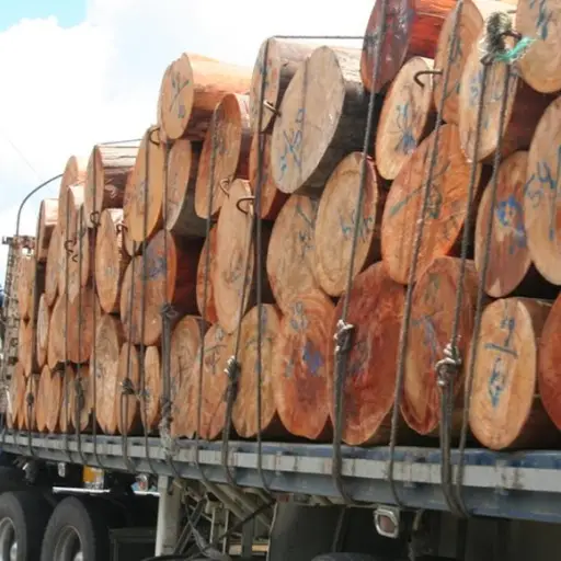 2757e7b870b694a3ad4266d8987c3272 ,