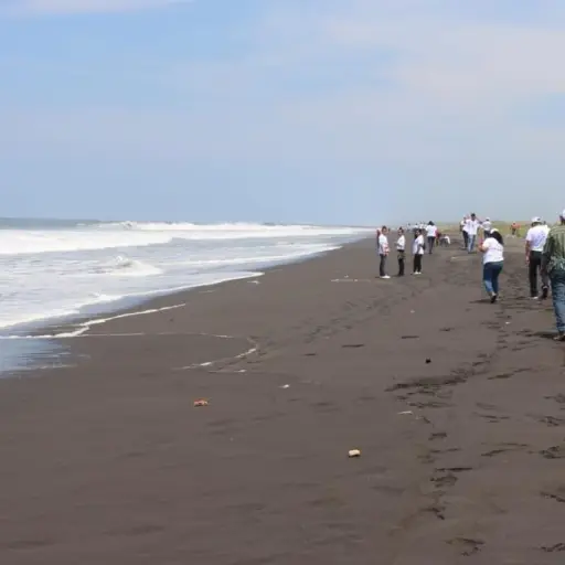 36233303_1578815348890888_5628550256246390784_n ,