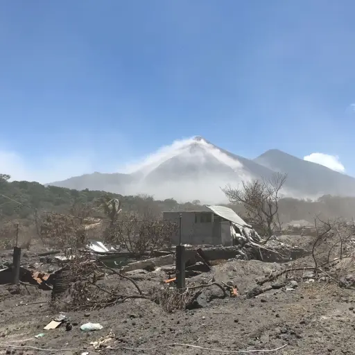 b53bb1c5-3b10-4af8-855e-fe02d5ab94ac ,