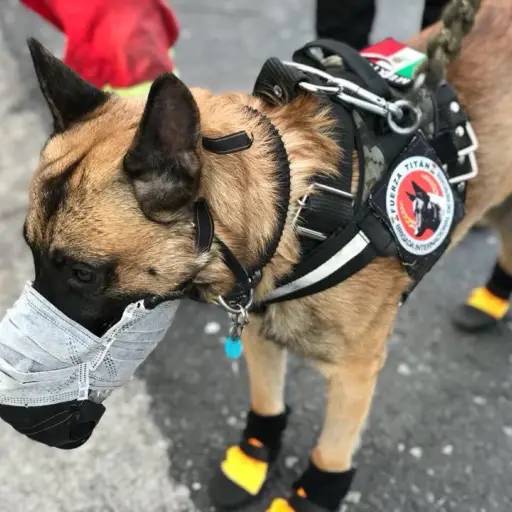 98b8a4db-4707-40d6-b89e-0ad64935f84e ,