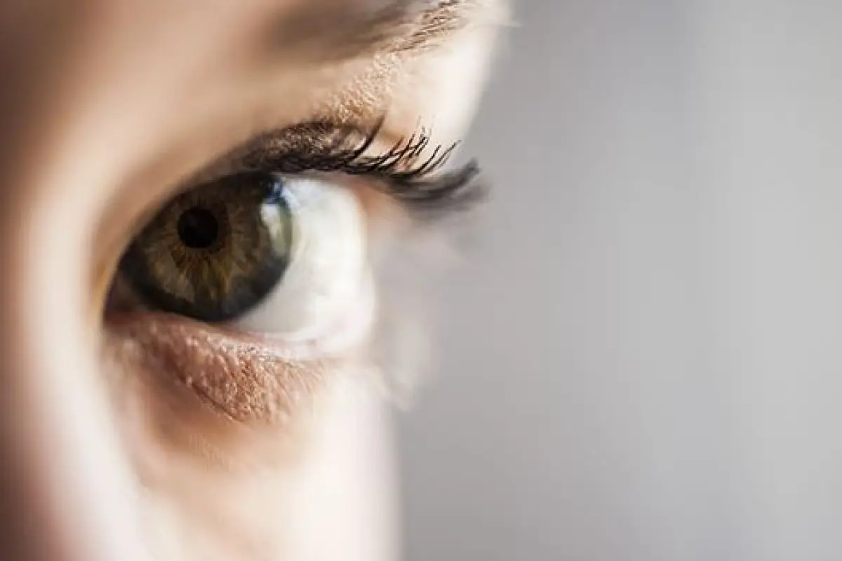 ojos, 
