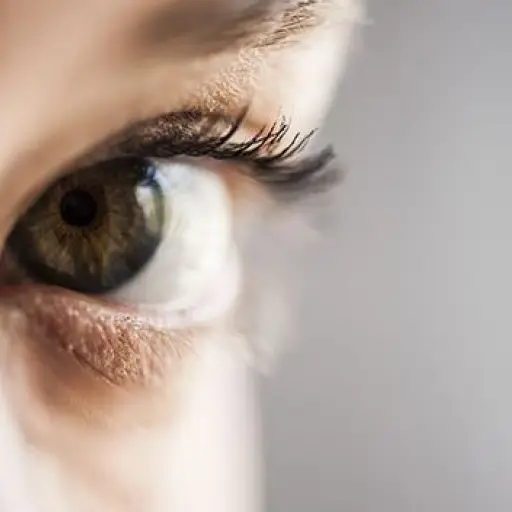 ojos ,