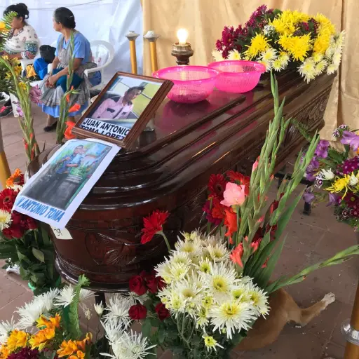 b3a141a1-97f3-4e2b-91c6-a07859d061c1 ,