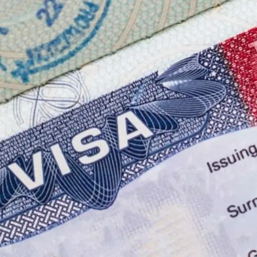 mas_visas_para_servicios ,