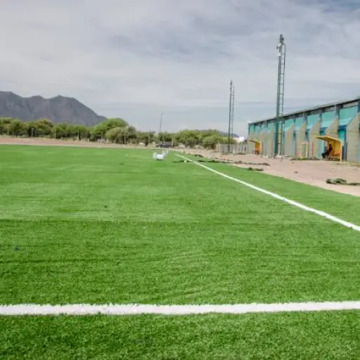 Gramilla sintética ,