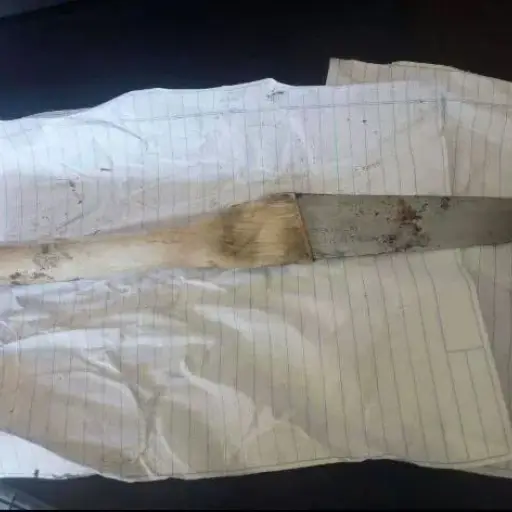 46f45311-d685-4acf-a40b-2b5beed0eedf ,