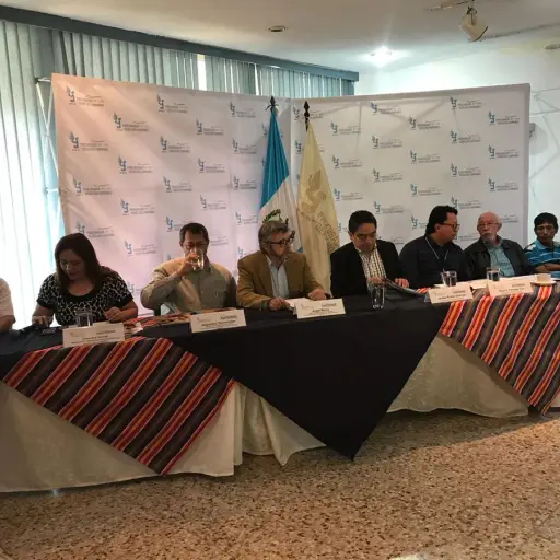 Hallazgos en FOPAVI ,