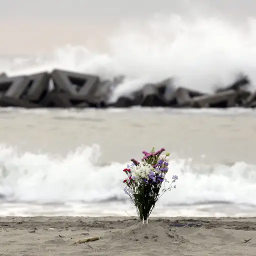 JAPÓN CONMEMORA EL QUINTO ANIVERSARIO DEL TSUNAMI CON UN MINUTO DE SILENCIO ,