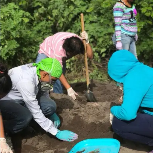 San Miguel los lotes ,