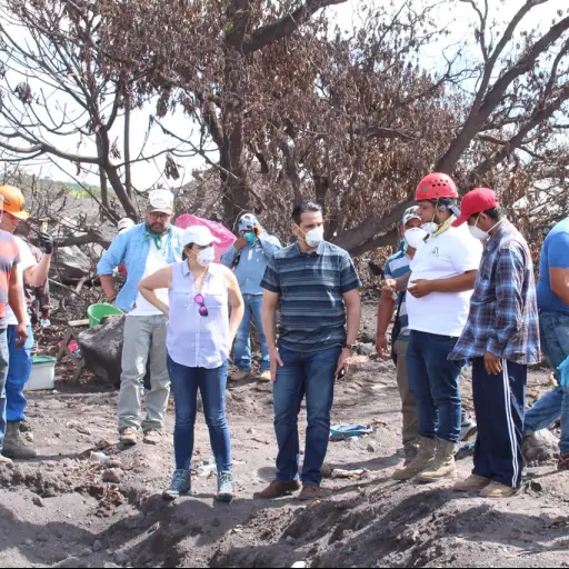 5424ec62-fee3-4b94-9df0-98eb3c473a3d ,