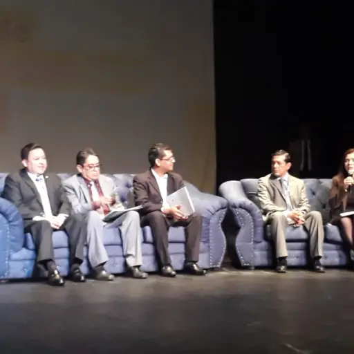 Día de la juventud ,