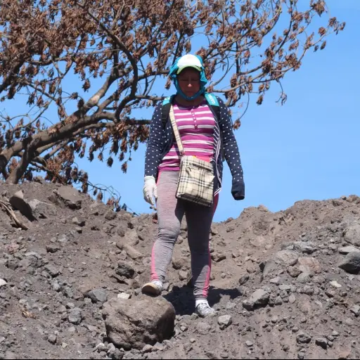 0042c4dc-7ac6-4c2b-85f3-67f4f12e6b6f ,