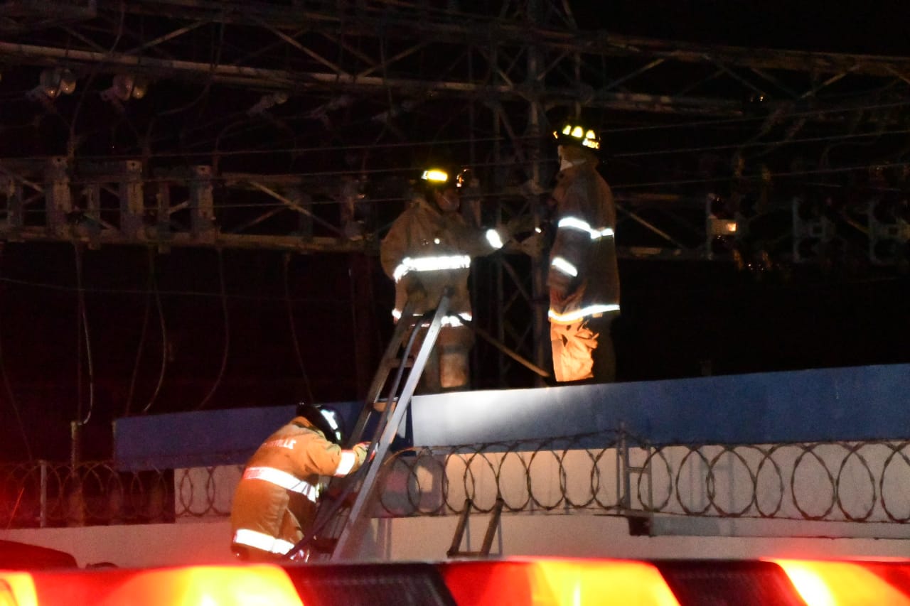 006d8e55-0b2d-4842-8fe1-3a6ee3086294 | 