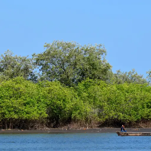 Área marino costera gt ,