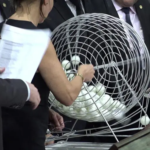 ELECCION PESQUISIDORA2 ,