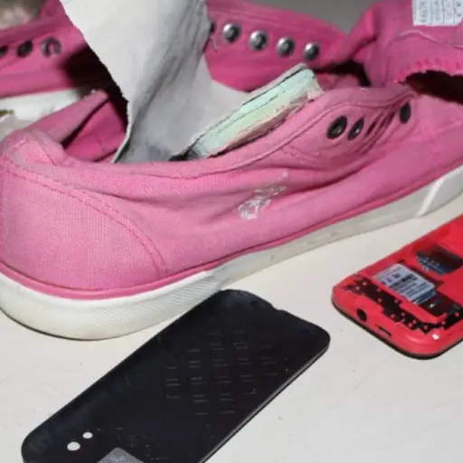 Ingreso de ilícitos en cárceles 