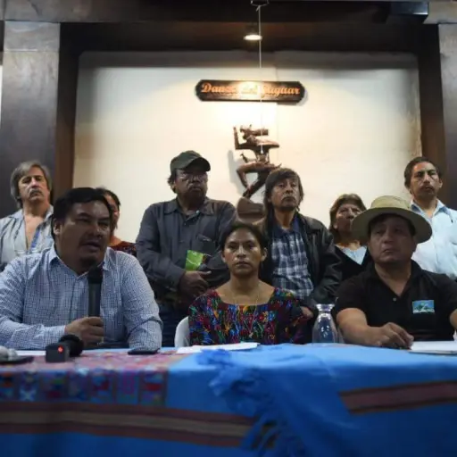 Colectivos y organizaciones indígenas y campesinas 