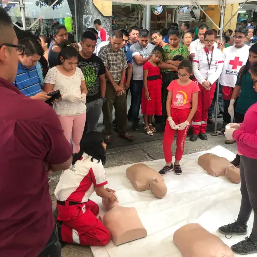 Día Internacional de los Primeros Auxilios ,