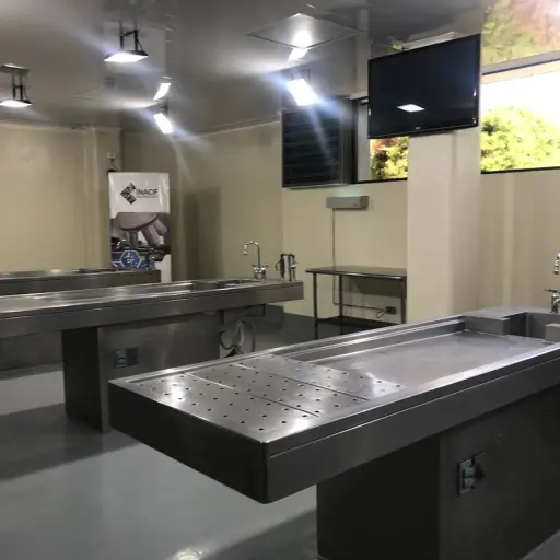 Camillas donde se hacen las necropsias ,