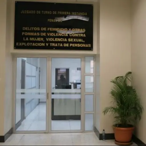 JUZGADO DE FEMICIDIO ,