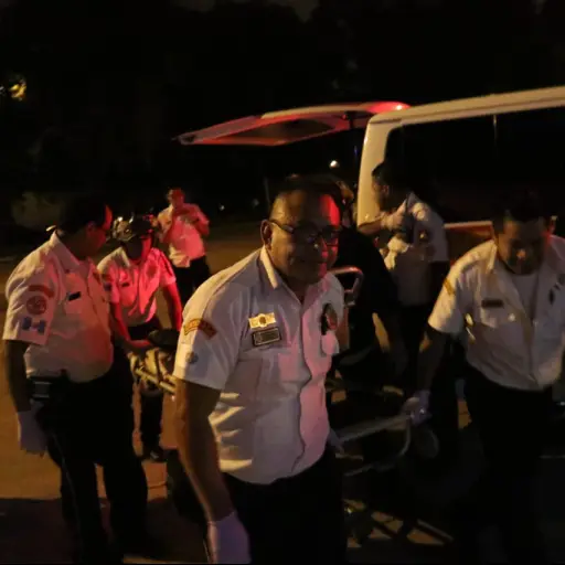 HERIDOS EL MANZANILLO2 ,