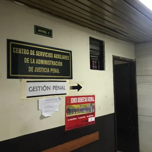 Gestión penal de Tribunales ,