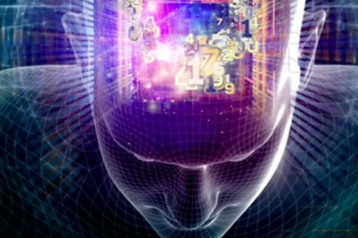 cerebro dos, 