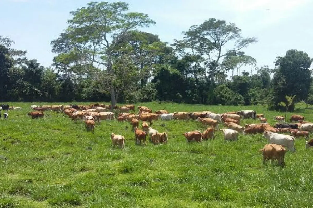 Foto: Emisoras Unidas