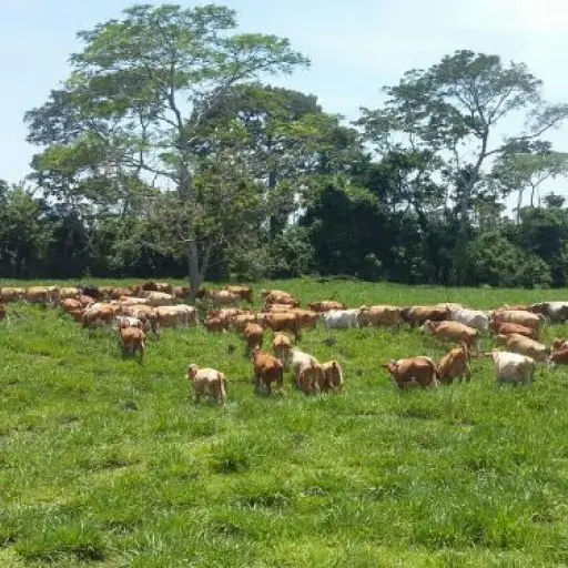 Foto: Emisoras Unidas