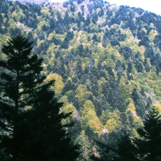 Las autoridades urgieron medidas para controlar la plaga. Imagen de archivo con fines ilustrativos. ,Archivo.