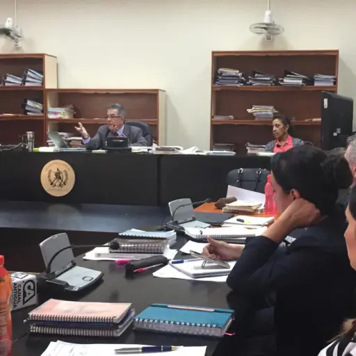 Cooptación del Estado ,