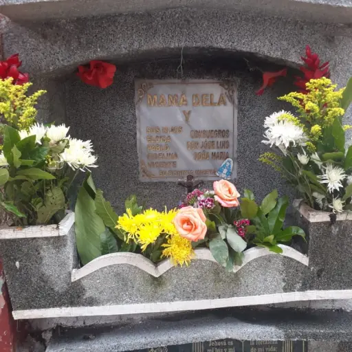 Fotografías Alexander Valdéz y Juan Carlos Chanta  