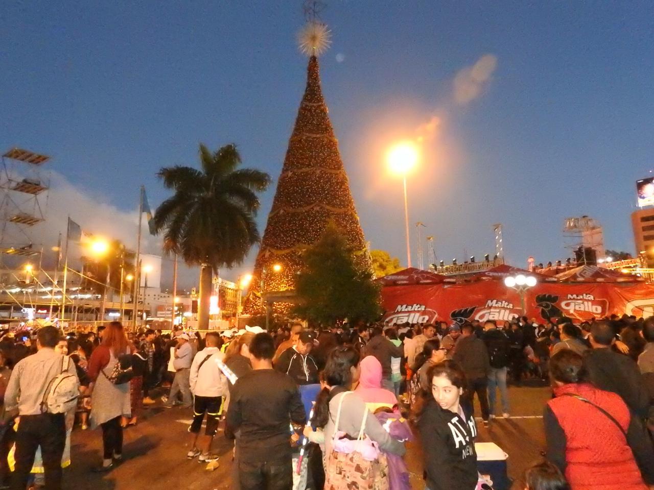 Ambiente árbol Gallo Fotos Herlindo Zet (1) | 