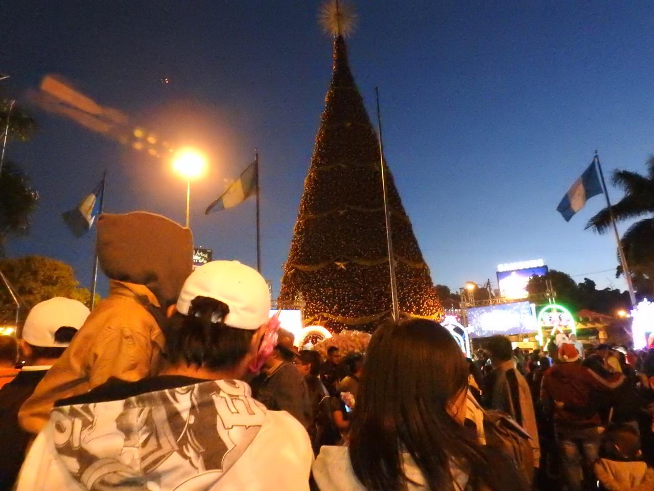 Ambiente árbol Gallo Fotos Herlindo Zet (4) | 