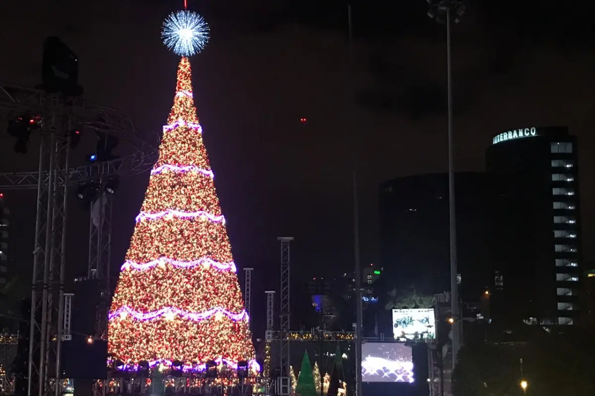 Árbol Gallo, 