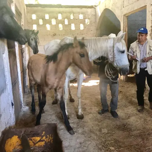 Fotografía: Ministerio Público. 