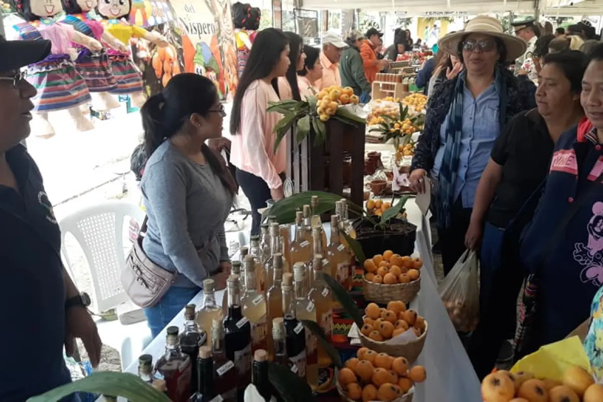 Níspero San Juan del Obispo Antigua Guatemala Sacatepéquez, 