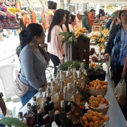 Níspero San Juan del Obispo Antigua Guatemala Sacatepéquez ,