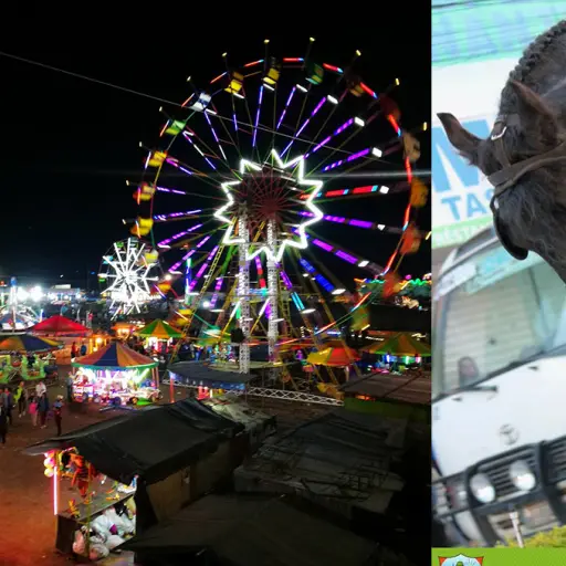 Jutiapa Feria Ganadera 2018 ,