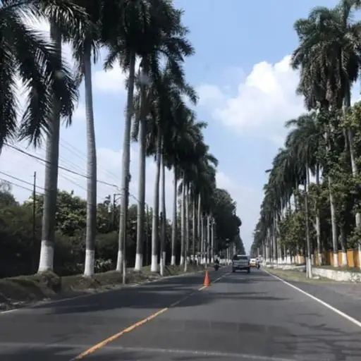 Fotos Gerardo Rafael 