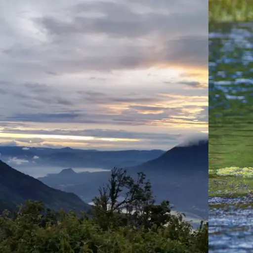 Atitlan Sololá avistamiento de aves ,