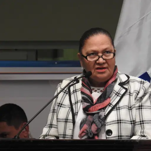 La CC dio 48 horas al Congreso para rendir informe.