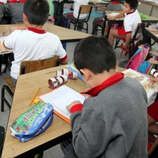 educación infantil ,