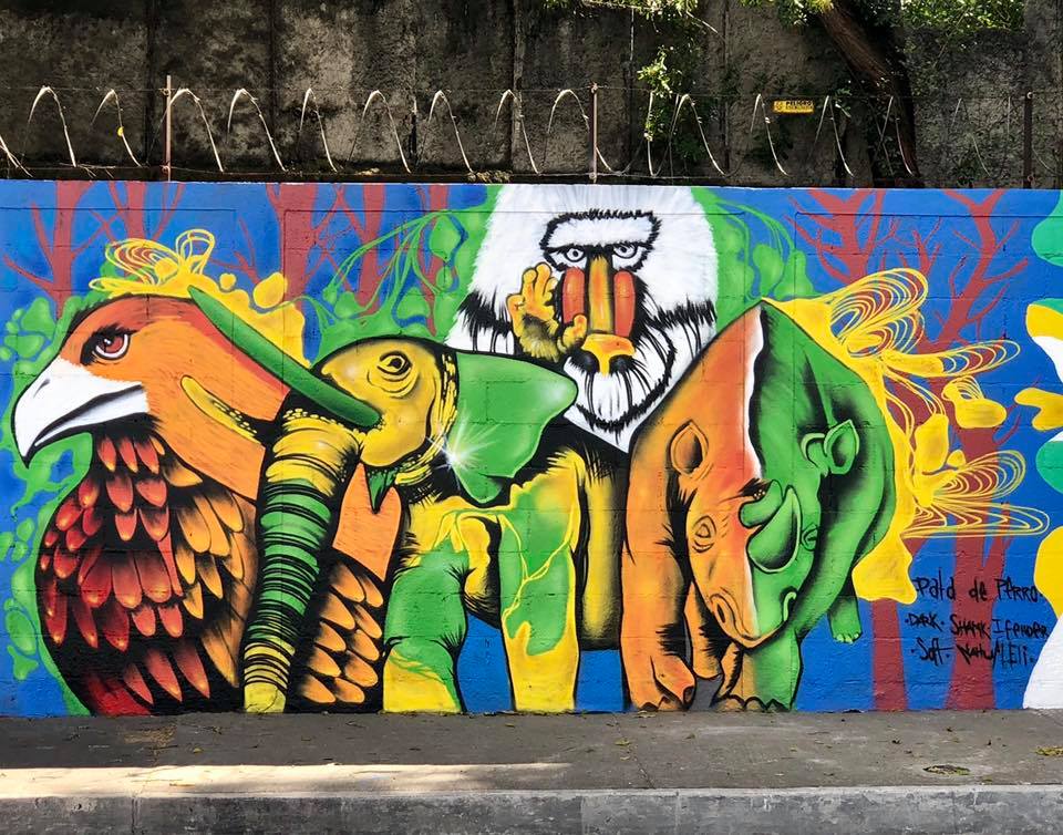 47576886_10158010457953146_6928518418727436288_n |