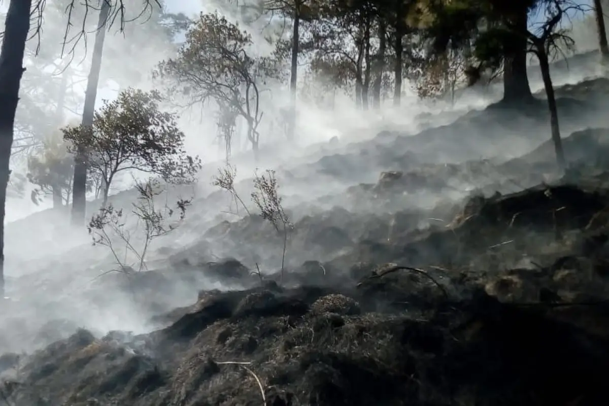 totonicapan-incendio-forestal-paraje-xeatzan, 