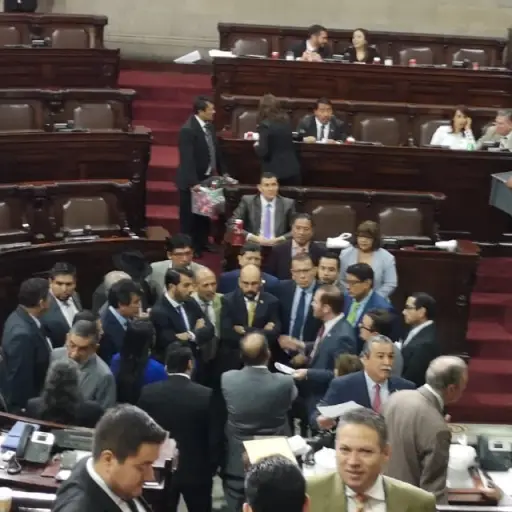 diputados ,